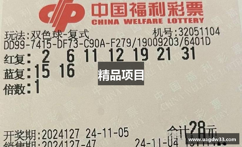 精品项目